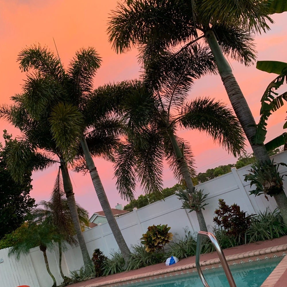 Meet your Posher, Kyrie